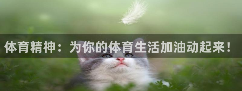 米兰体育报官网：体育精神：为你的体育生活加油动起来！