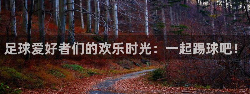 米兰体育网页版：足球爱好者们的欢乐时光：一起踢球吧！
