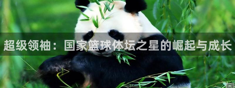 米兰体育中心：超级领袖：国家篮球体坛之星的崛起与成长