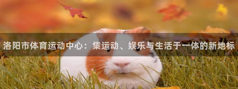 米兰体育报：洛阳市体育运动中心：集运动、娱乐与生活于一体的新地标