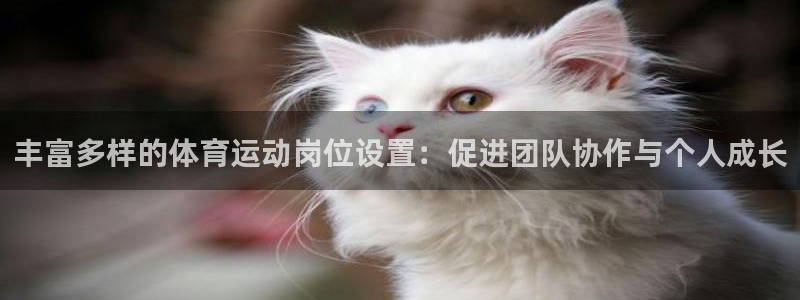 米兰体育最新版下载：丰富多样的体育运动岗位设置：促进团队协作与个人成长