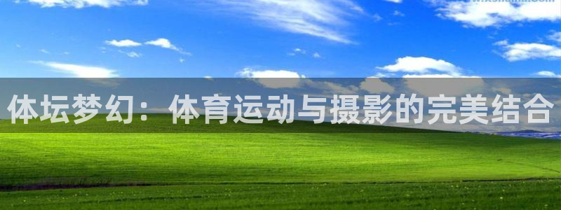米兰体育官网入口：体坛梦幻：体育运动与摄影的完美结合