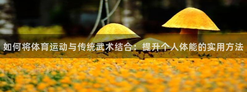 米兰体育报：如何将体育运动与传统武术结合：提升个人体能的实用方法